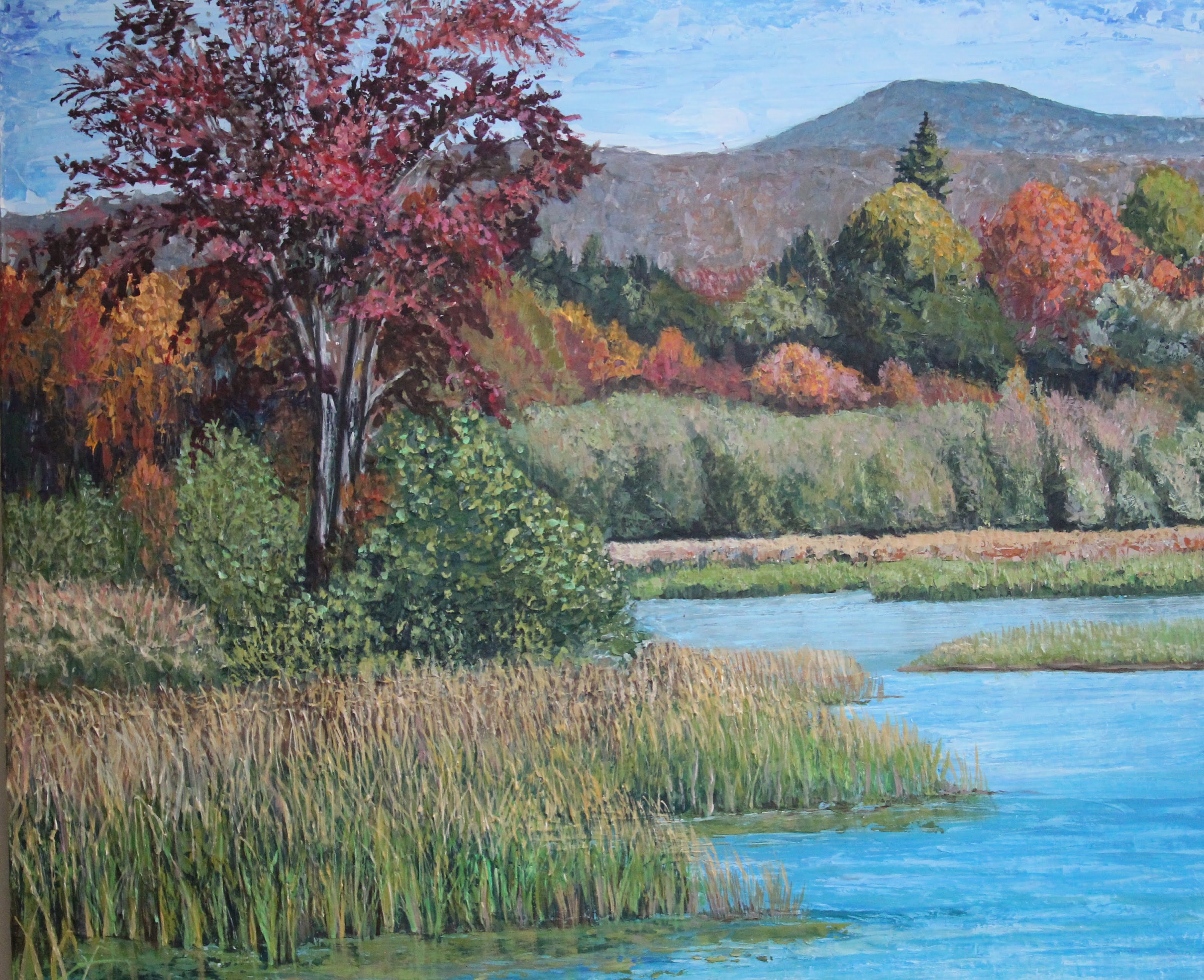 Marsh of Colours
